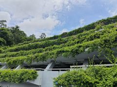 -深圳仙湖植物园
