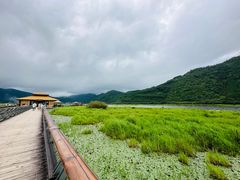 -腾冲北海湿地