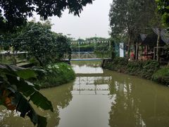 -长洲岛