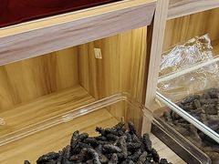 -宫品海参专卖店(静安大宁店)