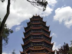 -铁山坪森林公园