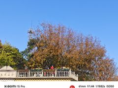 -上海佘山国家森林公园西佘山园