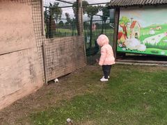 -明珠湖天鹅苑·农家菜馆