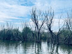 -处女泉风景名胜区