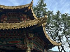 -护国法轮寺