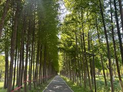 -柳鹭田园区