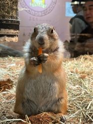 -Zoolung Zoolung动物主题公园(海信广场店)