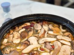 -蘑统田下·野生菌火锅