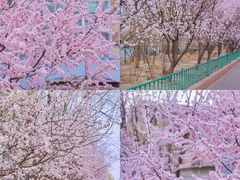 -知春路(地铁站)