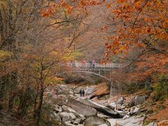 -光雾山旅游景区