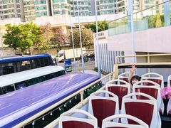 -Big Bus Tours 敞篷观光巴士
