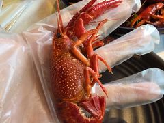 -红盔甲·小龙虾(天钥桥店)
