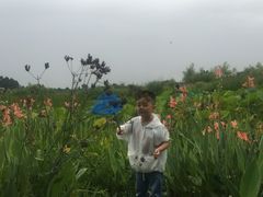 -白鹭湾湿地公园