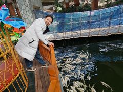 -南宫五洲植物乐园