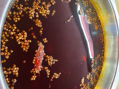 -青山青豆花·笑禅豆腐鱼(黄泥塝店)