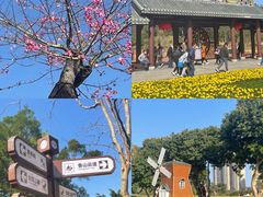 -香山湖公园