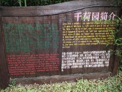 -泗洪洪泽湖湿地景区