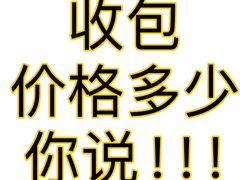 -海星奢选二手奢侈品手表包包鉴定回收寄卖(墨玉南路店)