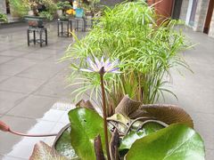 -聚福宝合苑食府(南头镇店)