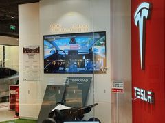 -TESLA 特斯拉(北京颐堤港体验店)