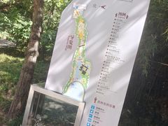-西安曲江寒窑遗址公园