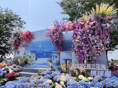 -荷兰花海