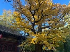 -晋祠博物馆