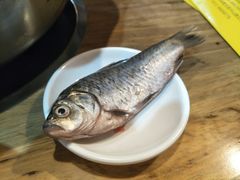 -袁记串串香(北国店)