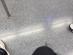-肯德基(东安路站店)