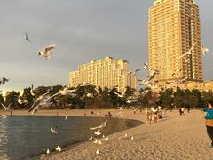 -台场海滨公园船码头