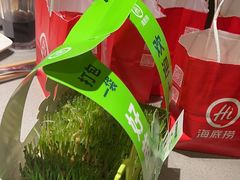 -海底捞火锅(青悦城店)