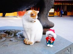 -龙华素斋(龙华路店)