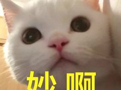 -無邪日式甜品(世博源店)