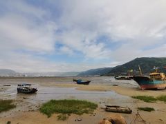 -北岐滩涂
