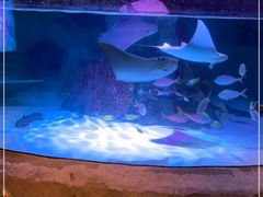 -沈阳海洋探索中心