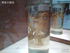 -广州中医药大学第一附属医院(总院)