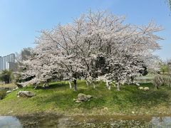 -堤角公园