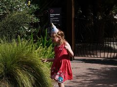 -墨尔本皇家植物园