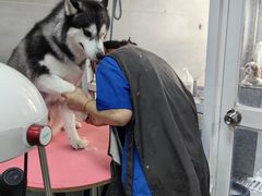 -宠福鑫康馨动物医院·骨科·眼科