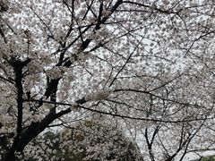 -堤角公园