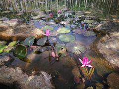 -红色娘子军纪念园