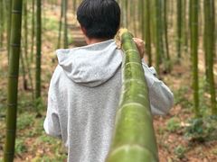 -池州市平天湖风景区
