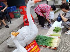 -海窝子古镇