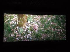 -横店电影城(IMAX联盛快乐城店)