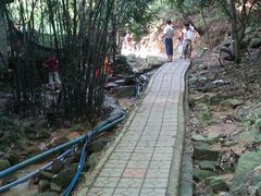 -火炉山森林公园