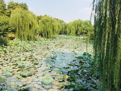 -圩墩遗址公园