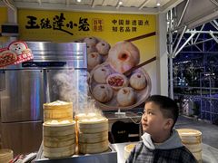 -海心沙亚运公园