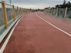 -白鹭湾湿地公园