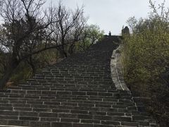 -辛玛王国游乐园