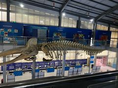 -上海海洋大学鱼文化博物馆(军工路校区)